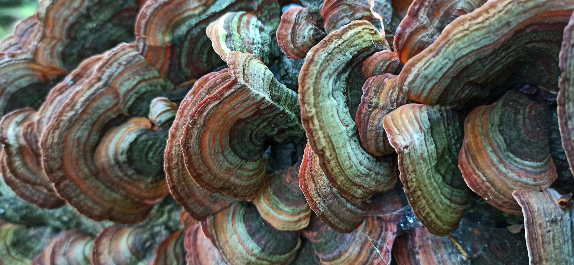 Beindult a természet